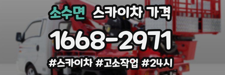 소수면 스카이차 가격