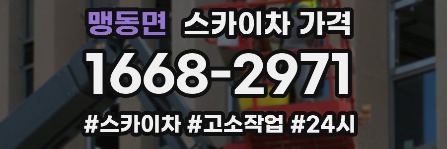 맹동면 스카이차 가격