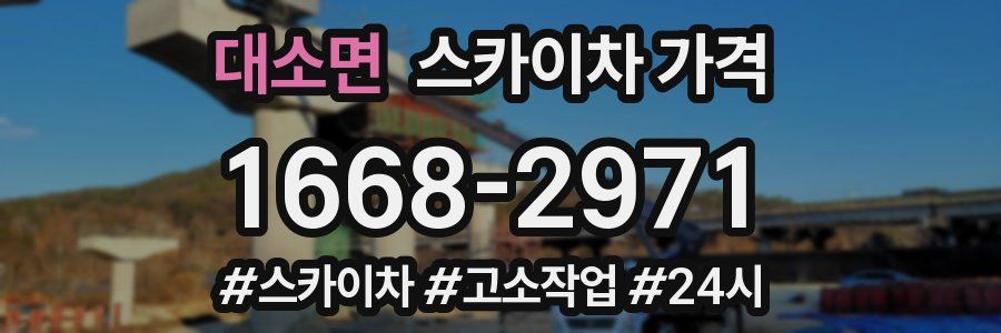 대소면 스카이차 가격