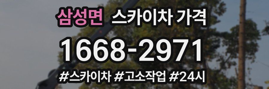 삼성면 스카이차 가격