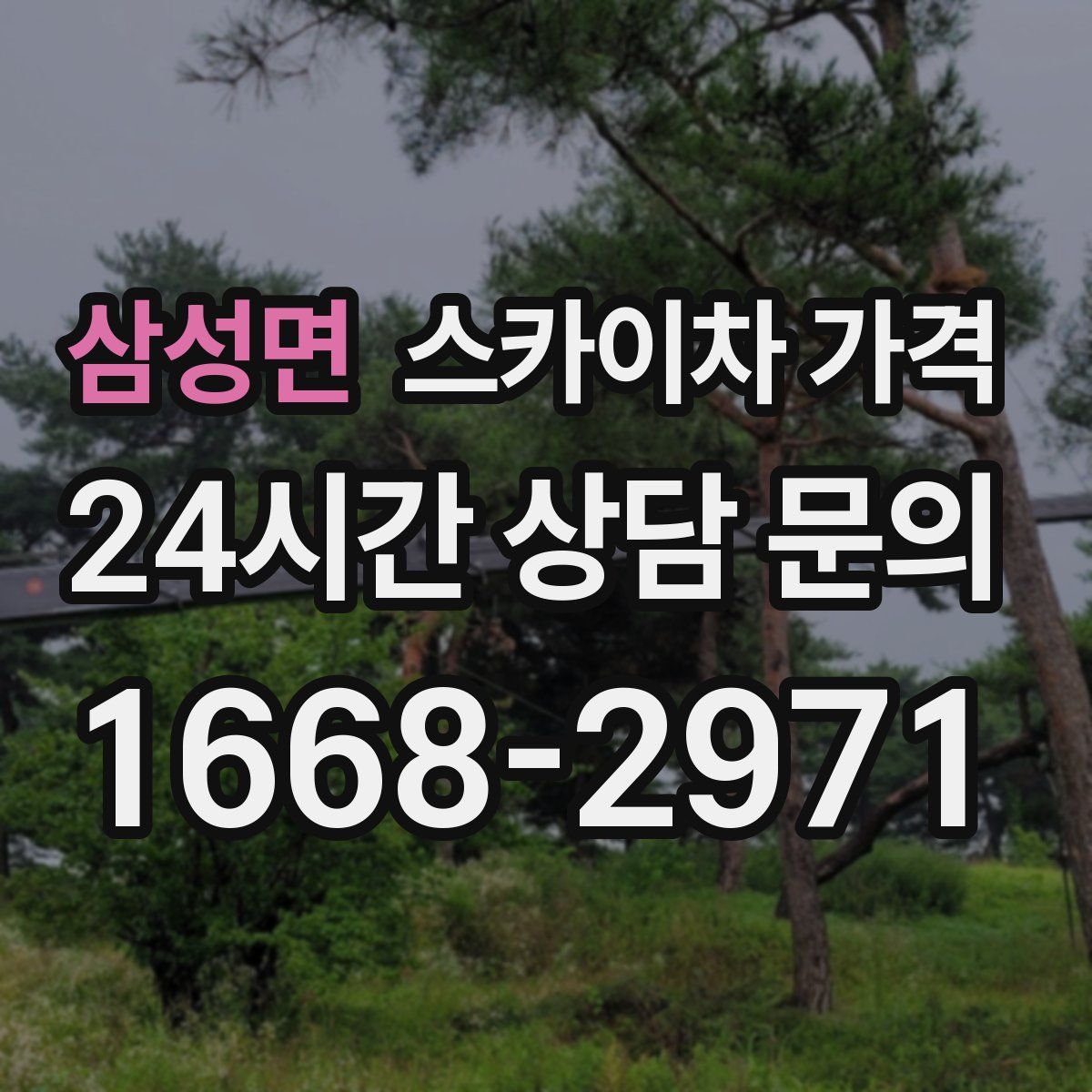 삼성면 스카이차 가격