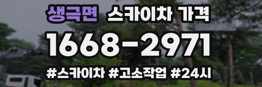 생극면 스카이차 가격