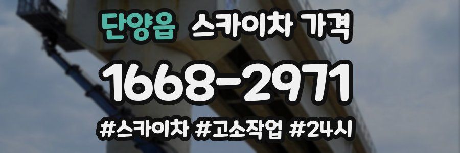 단양읍 스카이차 가격