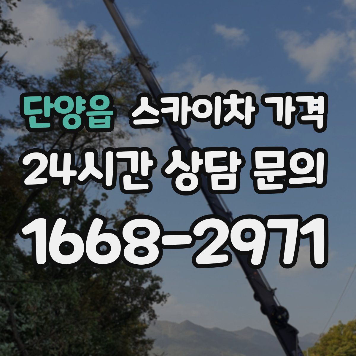 단양읍 스카이차 가격