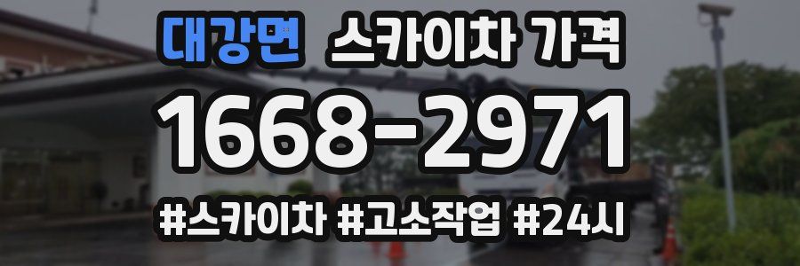 대강면 스카이차 가격