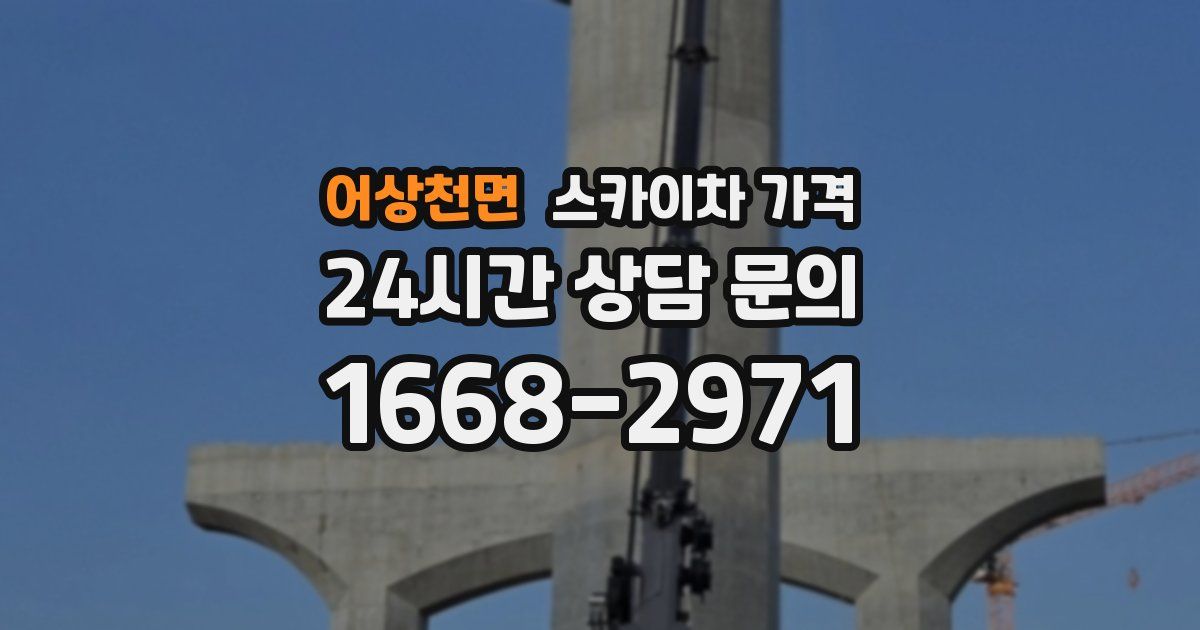 어상천면 스카이차 가격