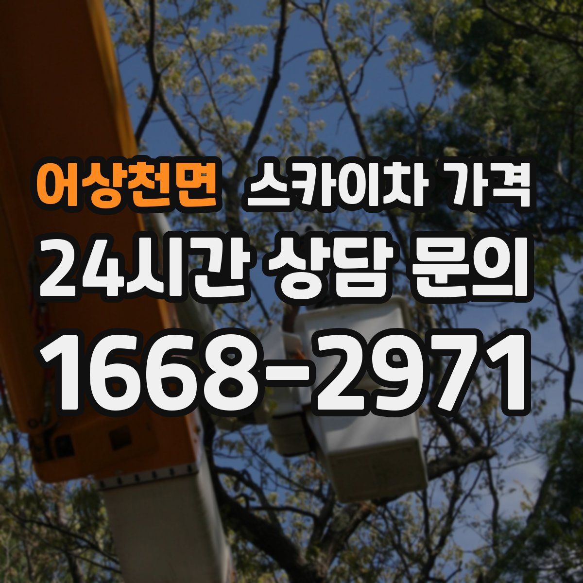 어상천면 스카이차 가격