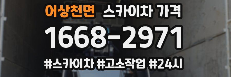 어상천면 스카이차 가격