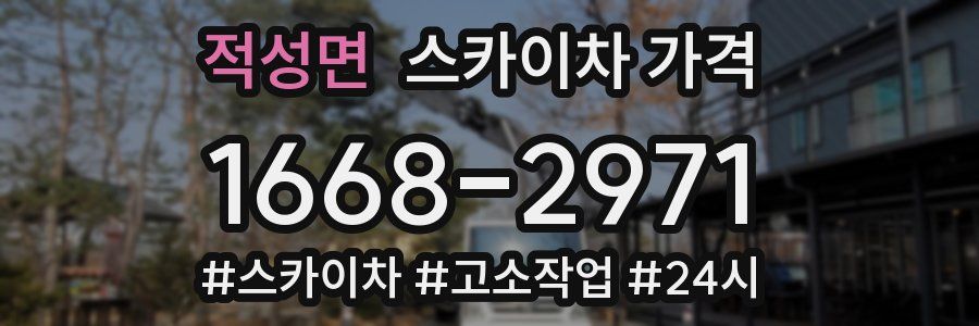 적성면 스카이차 가격