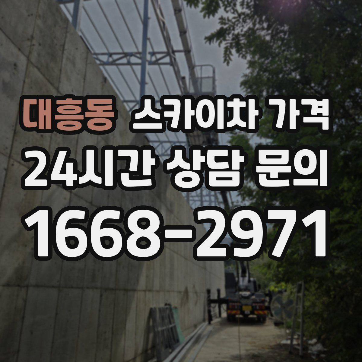 대흥동 스카이차 가격