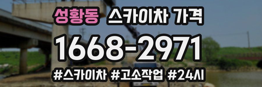 성황동 스카이차 가격