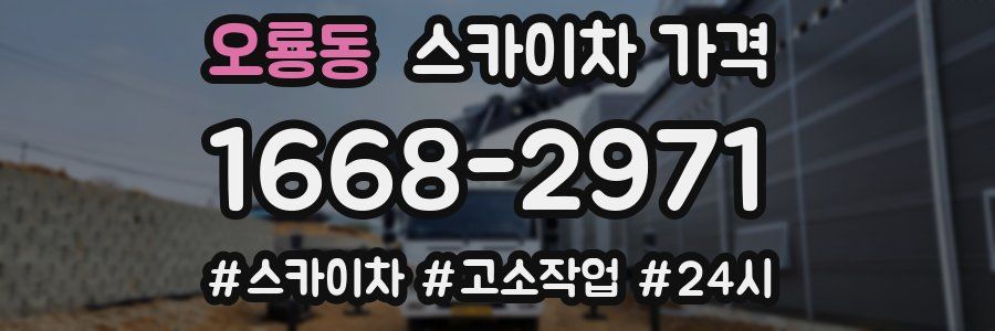 오룡동 스카이차 가격