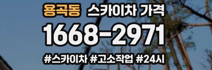 용곡동 스카이차 가격