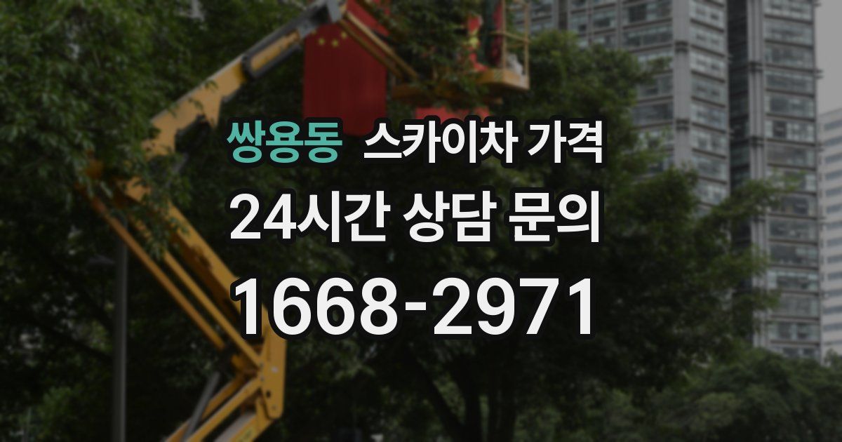 쌍용동 스카이차 가격