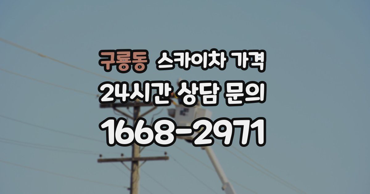 구룡동 스카이차 가격