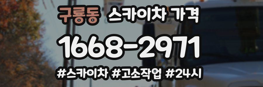 구룡동 스카이차 가격