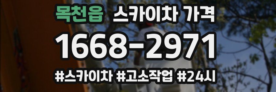 목천읍 스카이차 가격