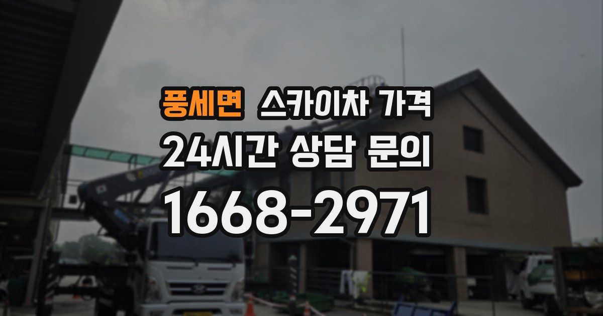 풍세면 스카이차 가격