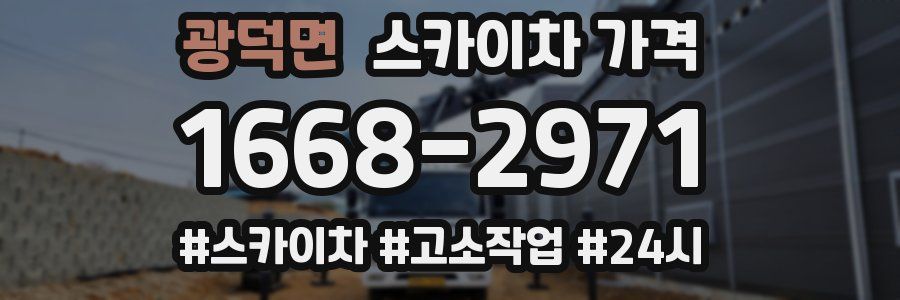 광덕면 스카이차 가격