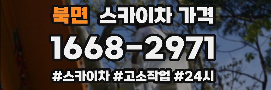 북면 스카이차 가격