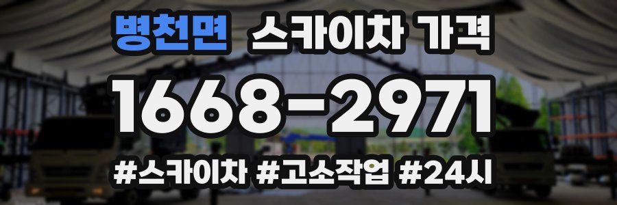 병천면 스카이차 가격