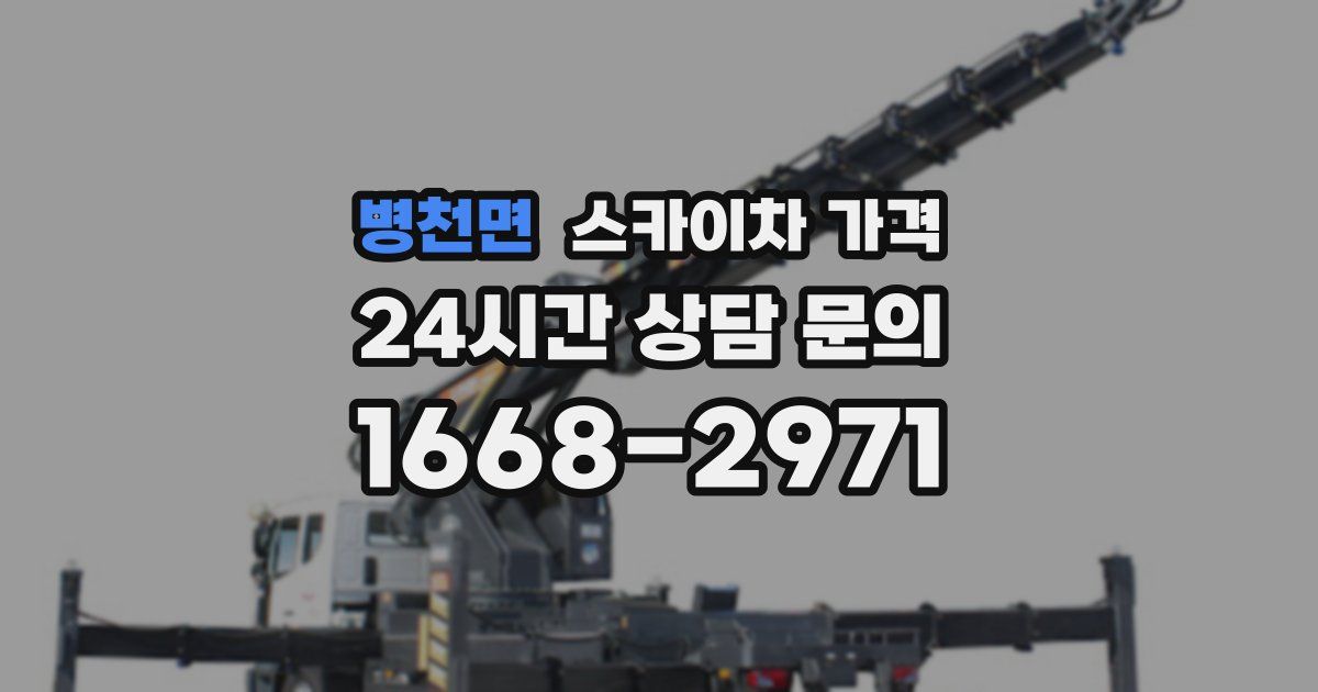 병천면 스카이차 가격