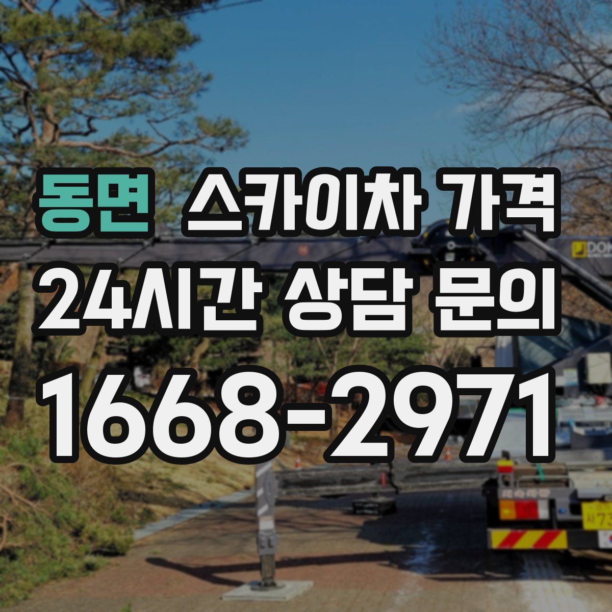 동면 스카이차 가격