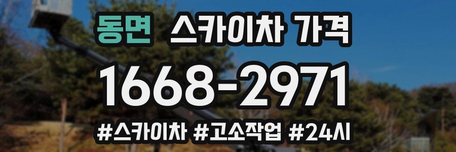 동면 스카이차 가격