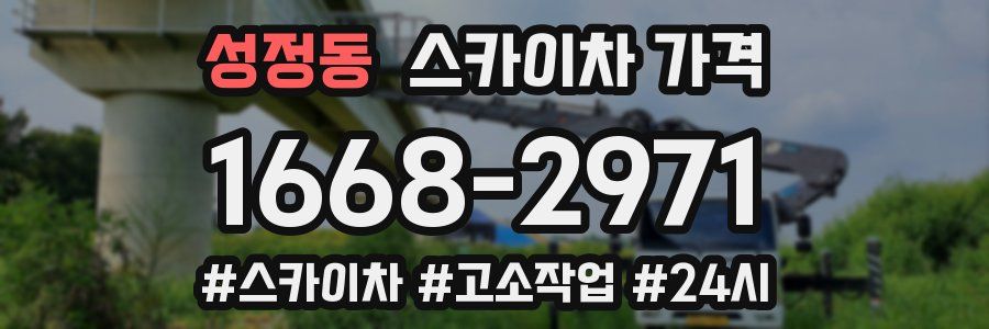 성정동 스카이차 가격