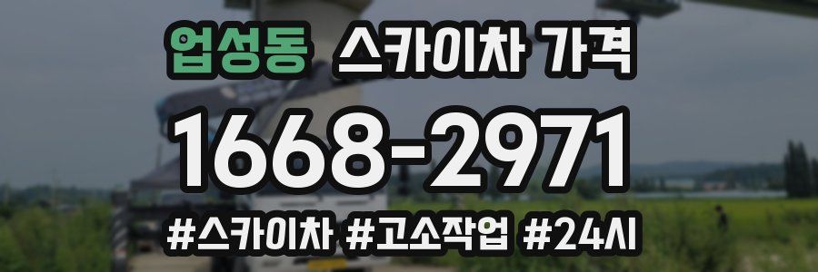 업성동 스카이차 가격