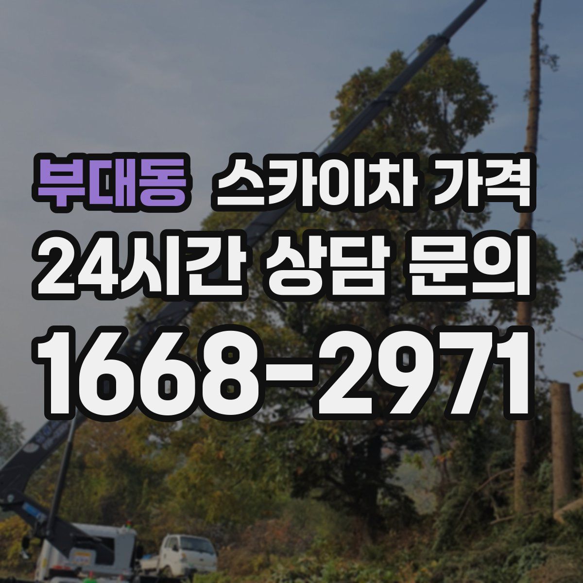 부대동 스카이차 가격