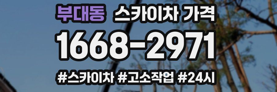 부대동 스카이차 가격