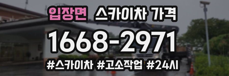 입장면 스카이차 가격