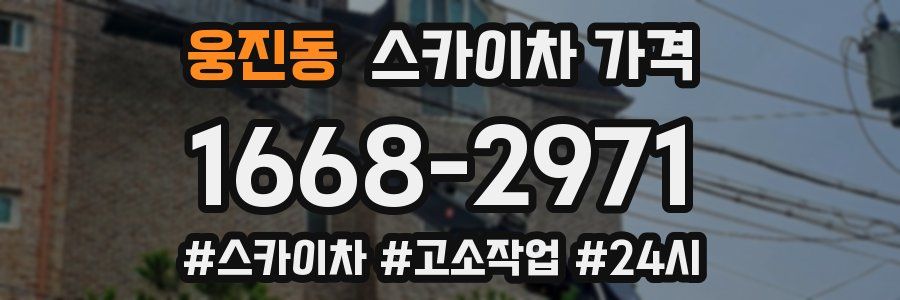 웅진동 스카이차 가격