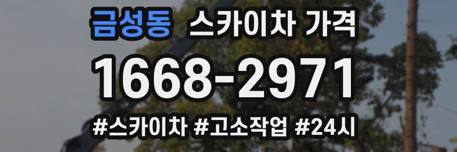 금성동 스카이차 가격