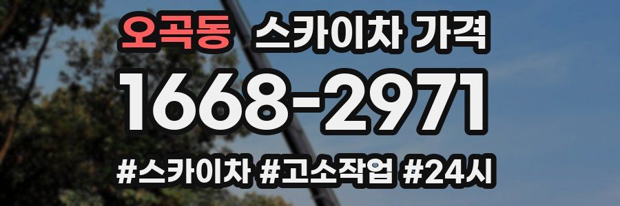 오곡동 스카이차 가격