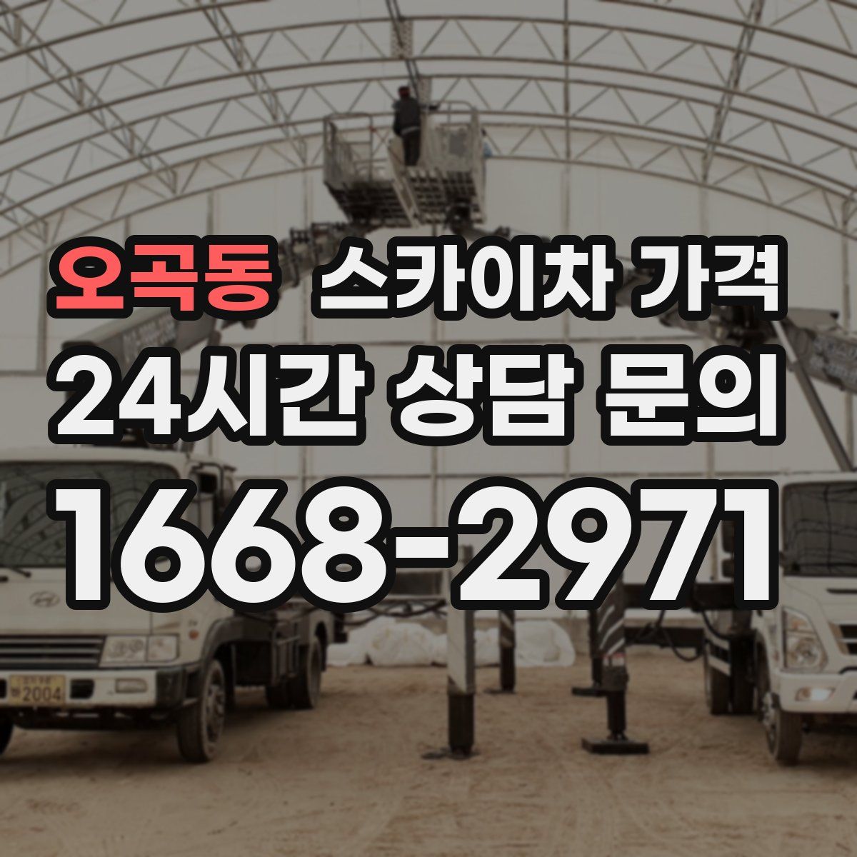 오곡동 스카이차 가격