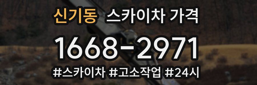 신기동 스카이차 가격