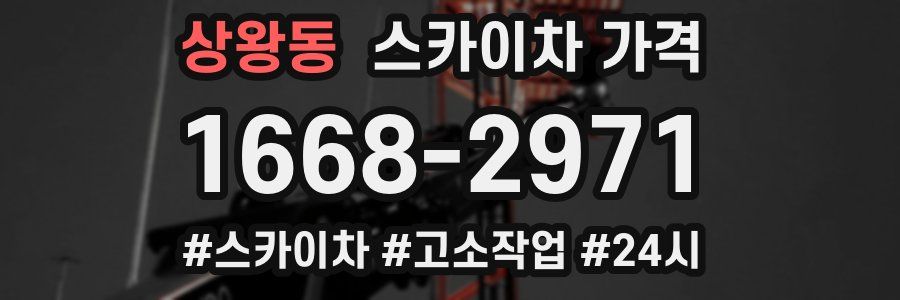 상왕동 스카이차 가격