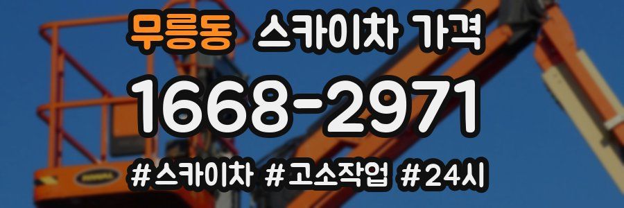 무릉동 스카이차 가격