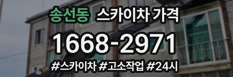 송선동 스카이차 가격