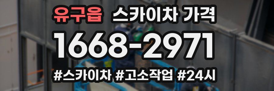 유구읍 스카이차 가격