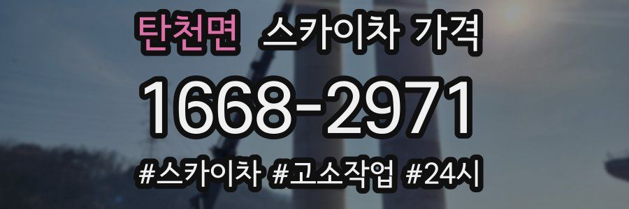 탄천면 스카이차 가격