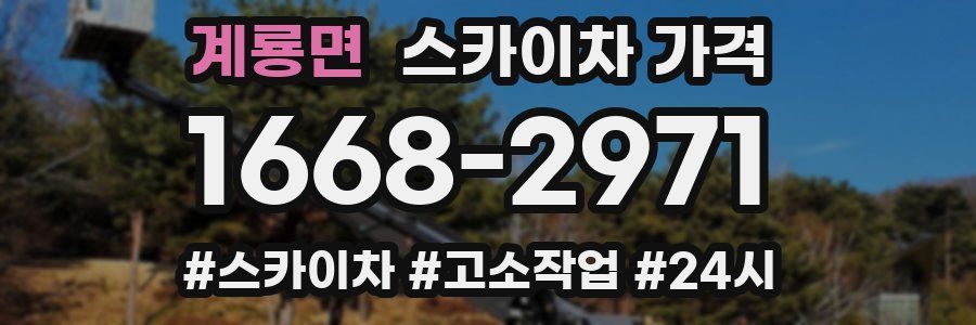 계룡면 스카이차 가격