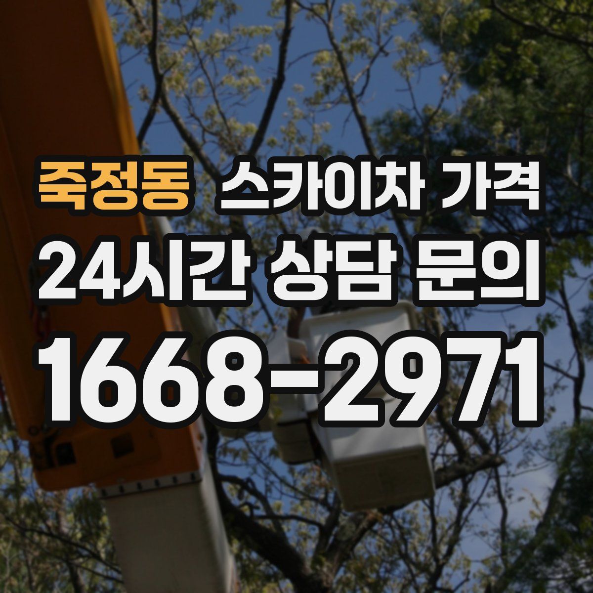 죽정동 스카이차 가격