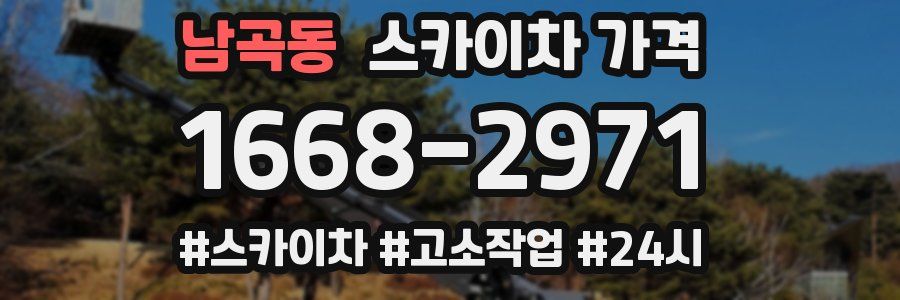 남곡동 스카이차 가격