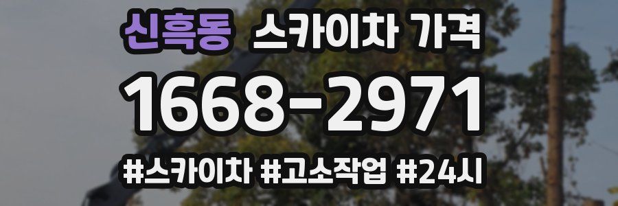 신흑동 스카이차 가격