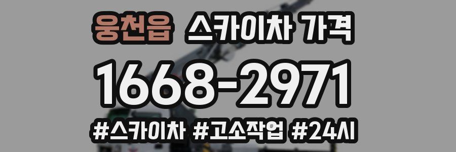 웅천읍 스카이차 가격