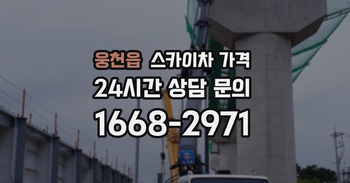 웅천읍 스카이차 가격