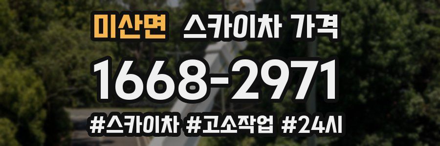 미산면 스카이차 가격